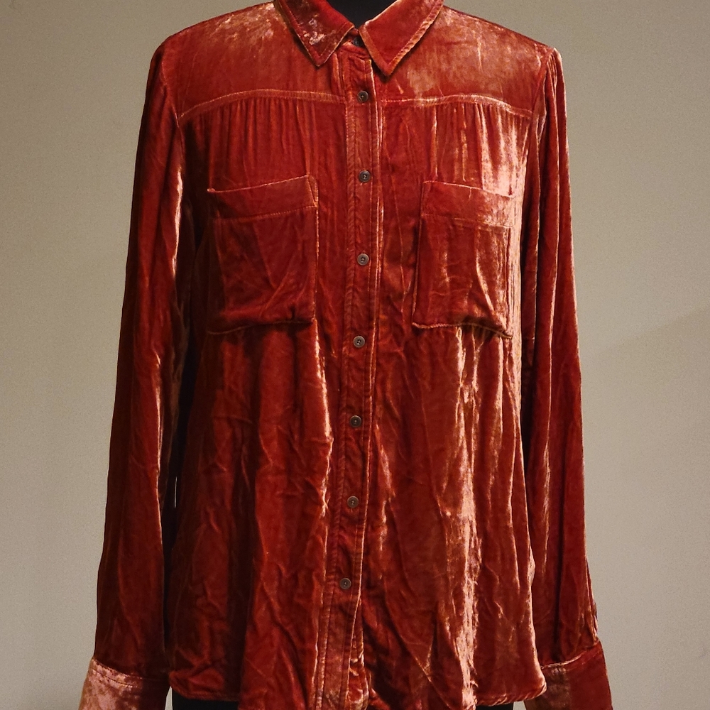 New Anthropologie Holding Horses Velvet Button Down Top